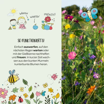Blumenmurmeln – Bild 4