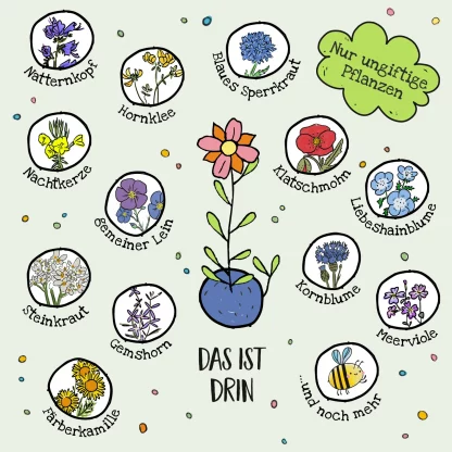 Blumenmurmeln – Bild 2